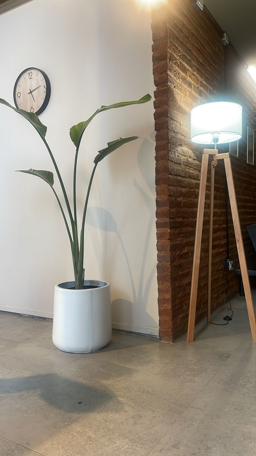 Imagen del lugar Iconic Barberia Beauty Center